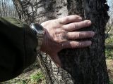 Image of taxon representative. Author is Евгений Берестовский