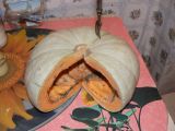 Cucurbita maxima