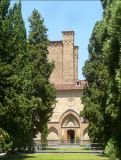 Cupressus sempervirens. Взрослые деревья. Италия, Тоскана, г. Флоренция, в культуре. 28 июля 2010 г.