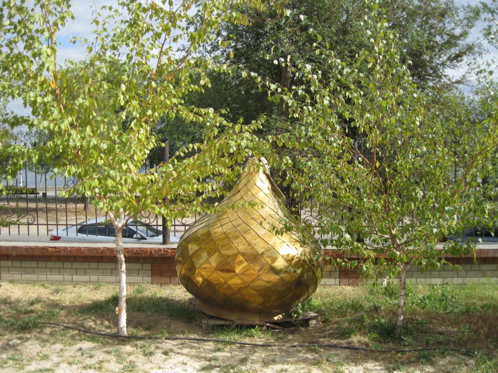 Image of Betula pendula specimen.