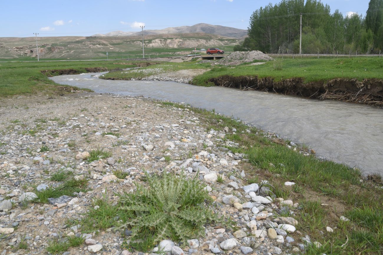 Восточная Турция и немного Месопотамии (май 2025 г.)